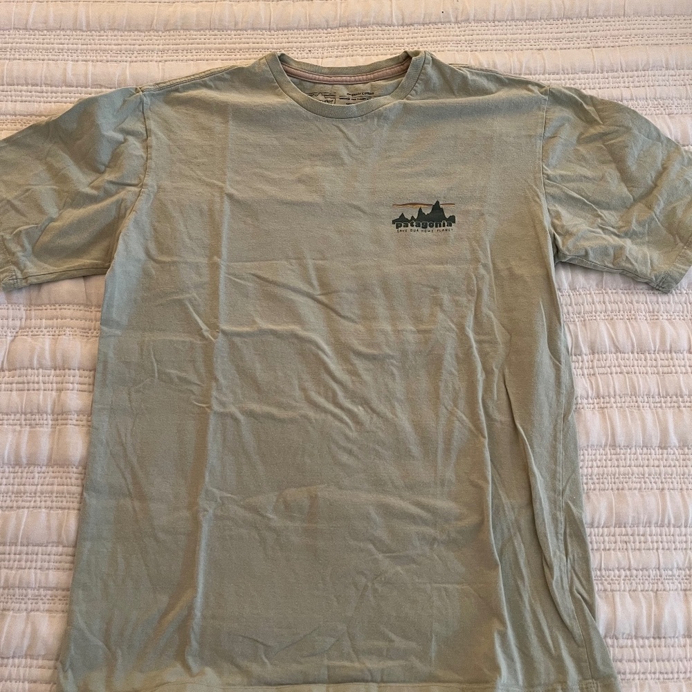 sage green patagonia mens t shirt